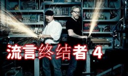 流言终结者在线观看,在线观看背后的真相与科学